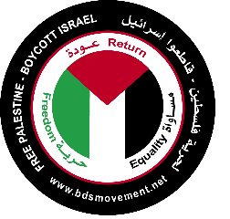 bds movement