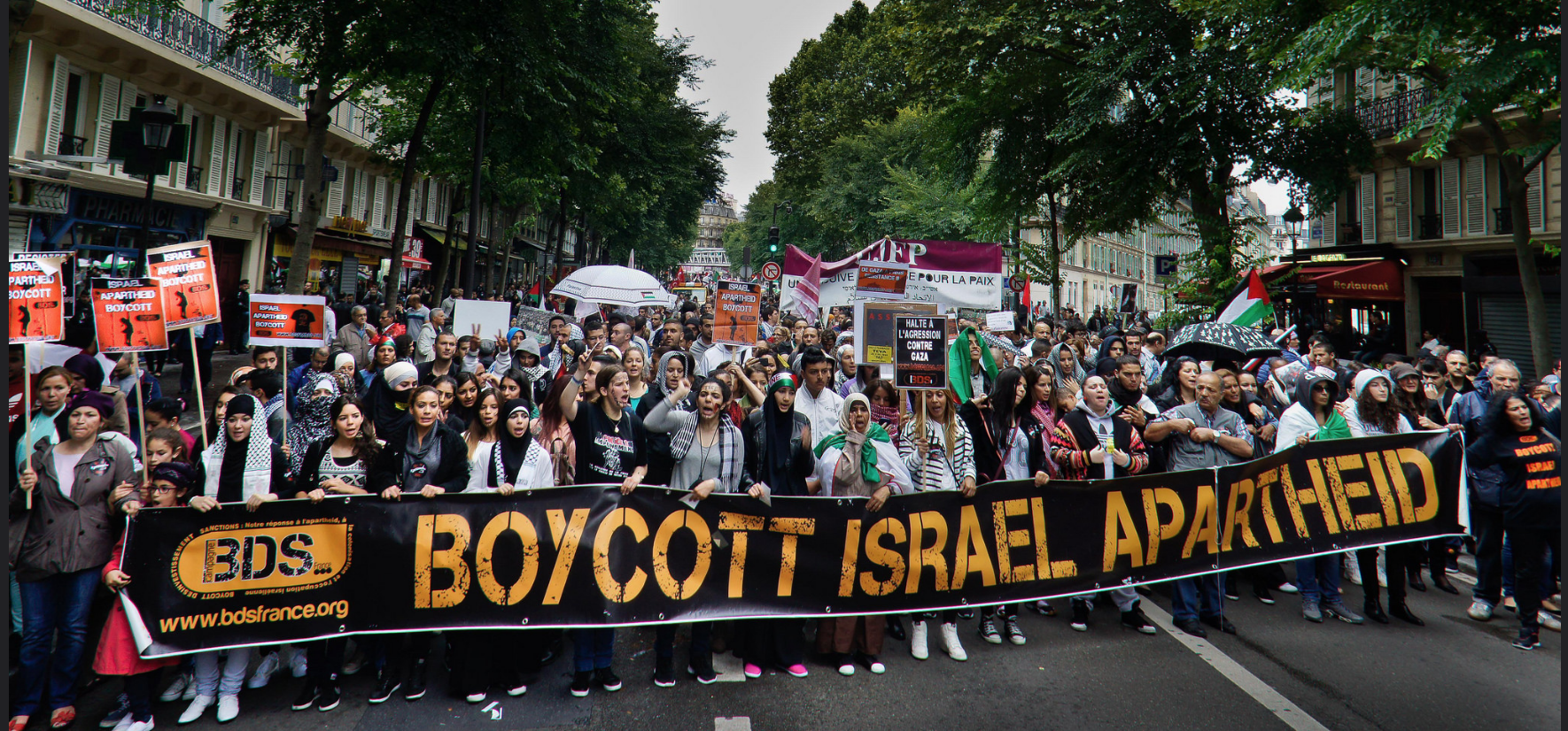 BDS%20France.png