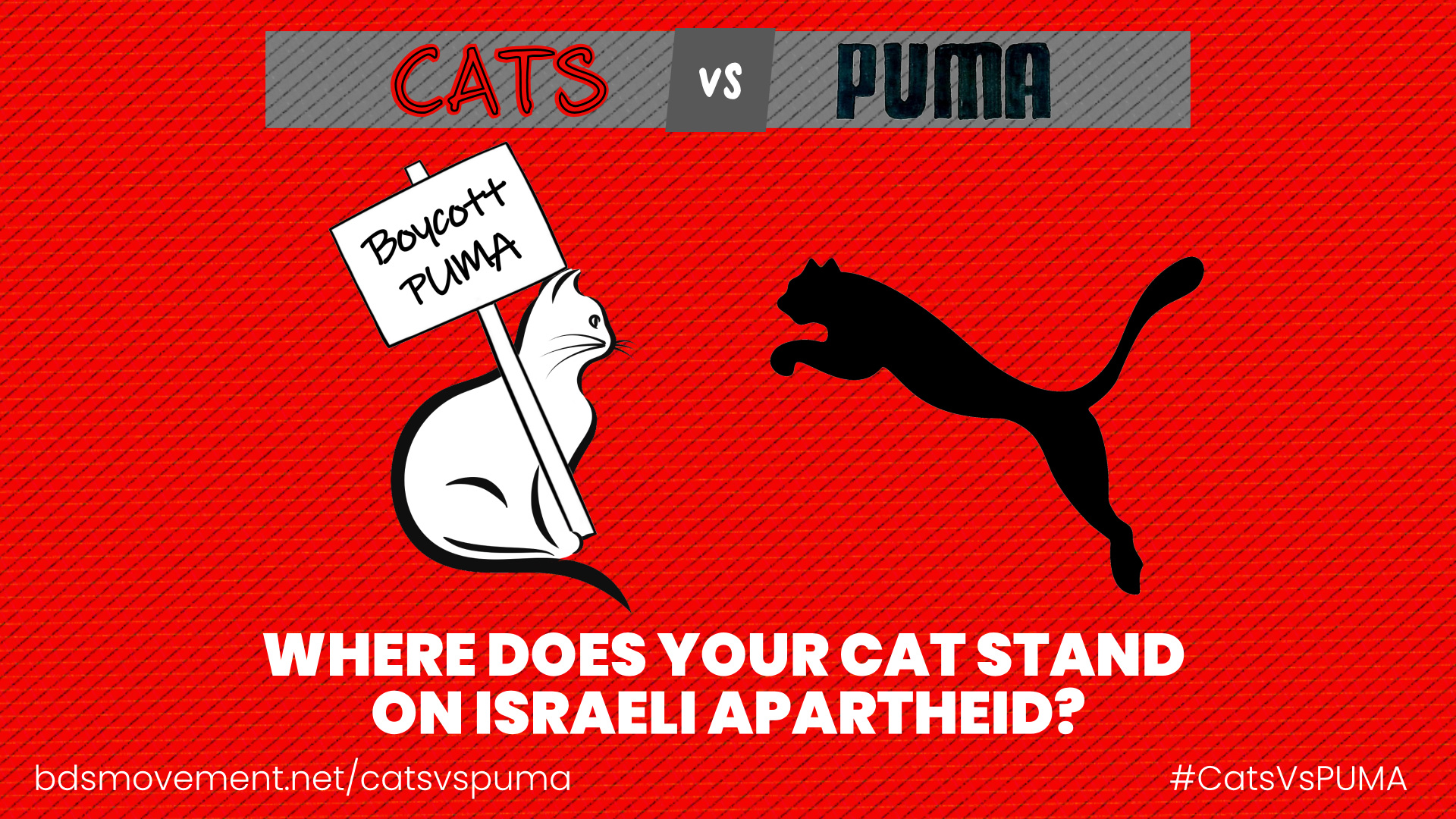 Cats Vs PUMA. Stand Against Israeli Apartheid. | Movement