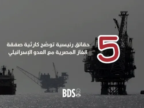 5 حقائق خول الغاز المصري 
