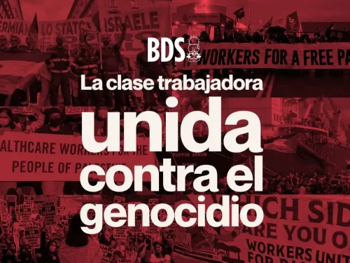 1 mayo