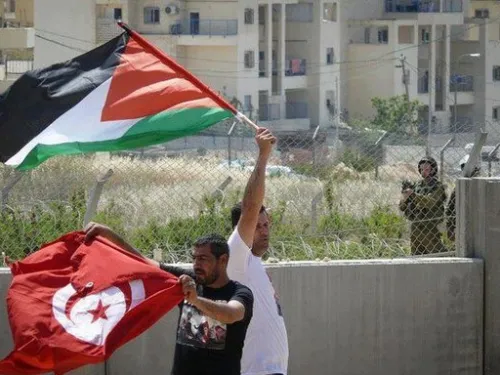 467221483065061.jpg