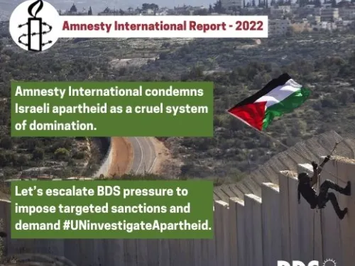 Amnesty web (520 × 490 px).jpg