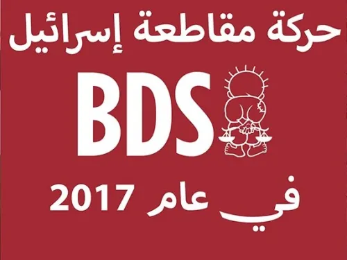 BDS017s (2).jpg
