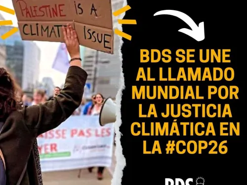 COP26  (Instagram Post).jpeg