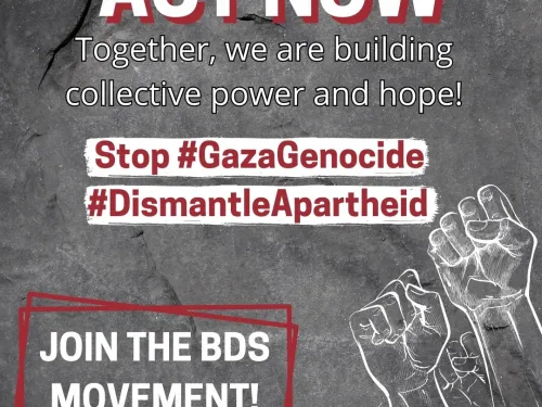 Join BDS Movement - call to action January 2024 (Instagram Post).jpg