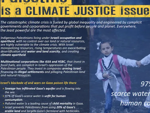 Palestine is a climate justice issue thumbnail 11.21.2019.png