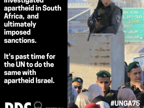 UNGA action alert square 9.22.2020 .png