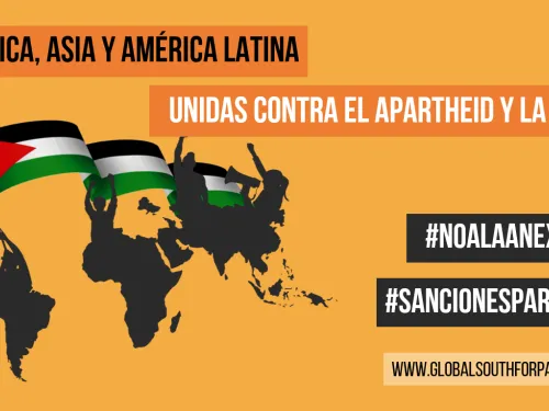 lanzamiento página web.png