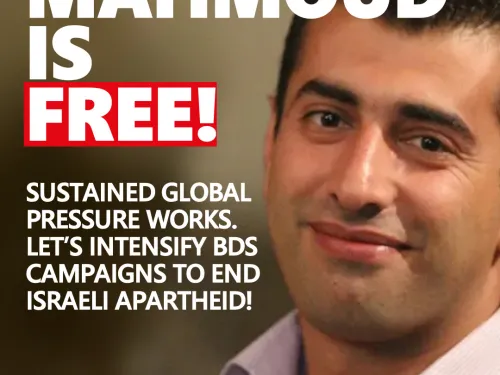 Mahmoud Nawajaa is free