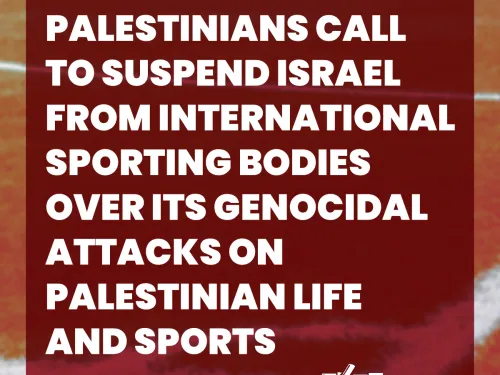 pfa cover.jpg