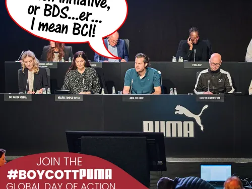 puma bds bci-sq.jpg