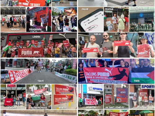 puma day june 24 2023 collage sq.jpg