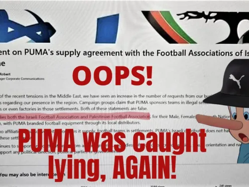puma lying.jpg