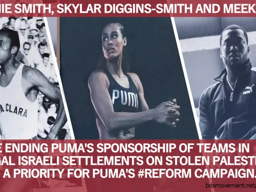 Tell Puma: #Reform must include ending support for Israel’s illegal land grabs