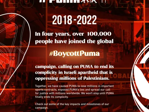 puma_timeline_01.jpg
