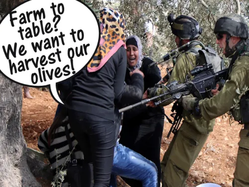 Farm to Table? Palestinians want to harvest their olives! Cancel Tel Aviv Round Tables