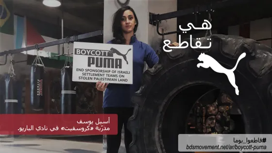 فاينال هي تقاطع.jpg