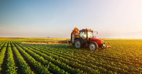 India farming 
