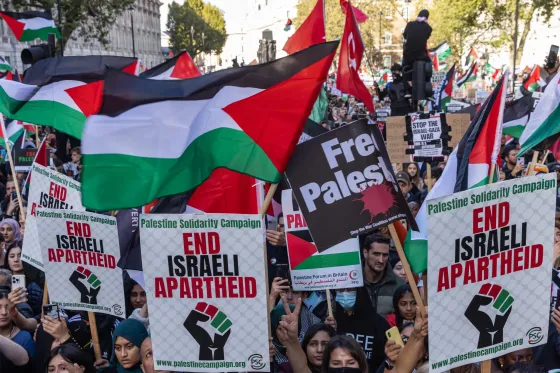 Apartheid demo