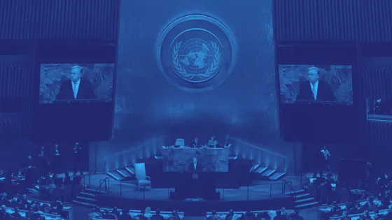 Acción Asamblea ONU