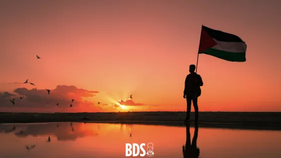 BDS Guide Hero image
