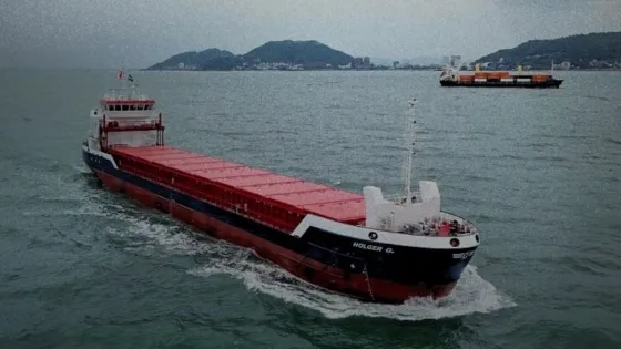 The Holger G is illegally transporting military materiel to Israel for use in its genocide against Palestinians. The cargo reportedly includes approximately 175 tonnes of 155 mm artillery ammunition, 125 tonnes of military-grade steel, and 140 tonnes of mortar bomb components.