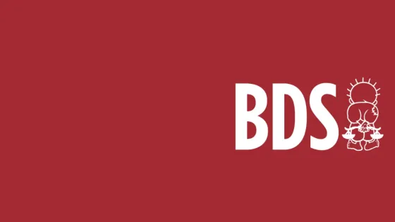 bds-header