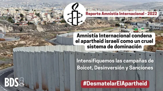 Amnesty Graphics .jpeg