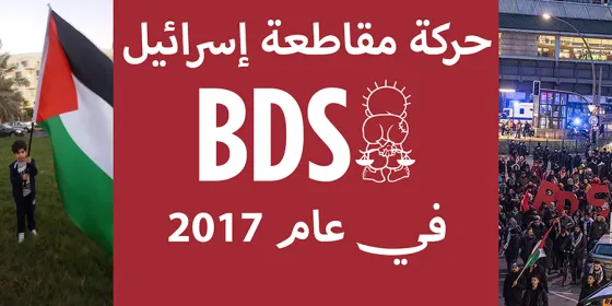 BDS017s.jpg