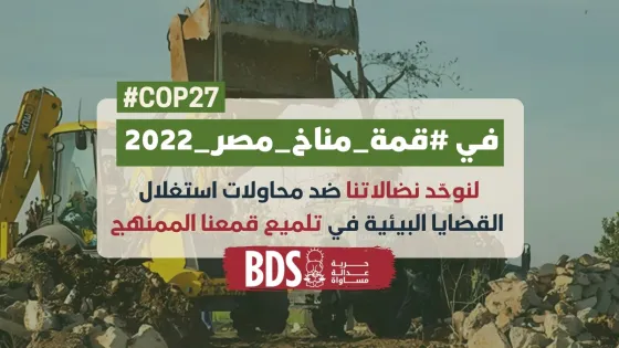 COP 27 .jpg