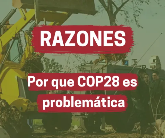COP28 landscape.png