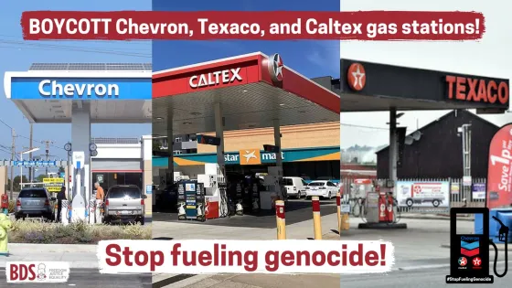 Copy of BOYCOTT Chevron, Texaco, and Caltex gas stations!.jpg