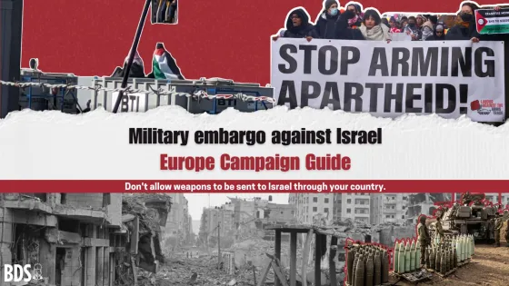Copy of you can either be complicit or make a stand - don't allow weapons to be sent to Israel through your country. (Twitter Post).jpg