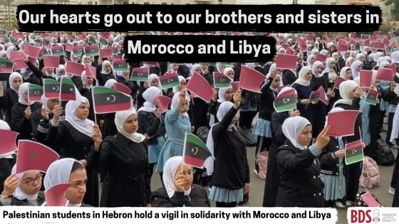 Solidarity (1).jpg