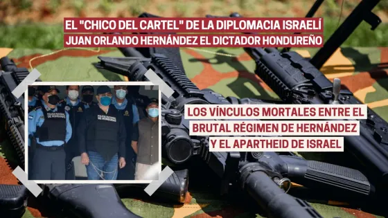 el chico del cartel de la diplomacia israelí.jpeg