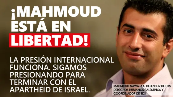mahmoud-is-free-es.jpg