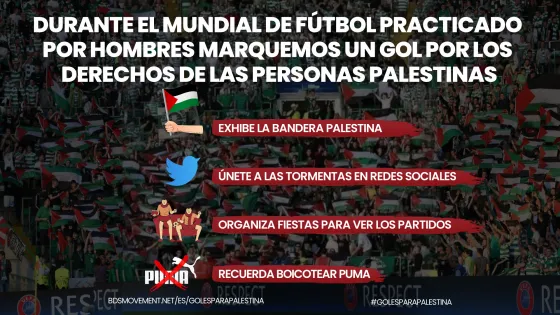 mensworldcup-es.jpg
