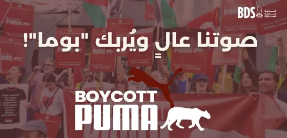 puma main.jpg